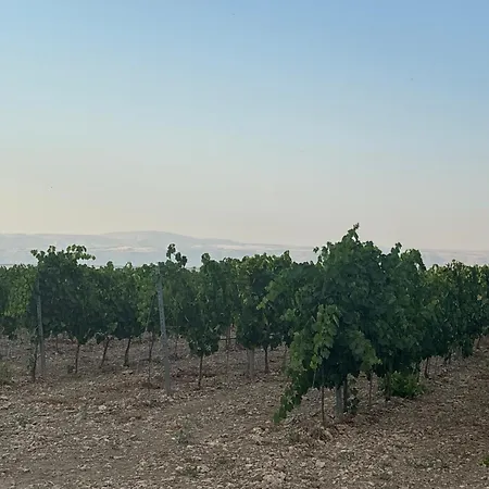 Bosco Elda Alloggio per agriturismo *