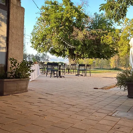 Bosco Elda サン・ジョバンニ・ロトンド