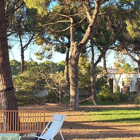 Bosco Elda Farm stay