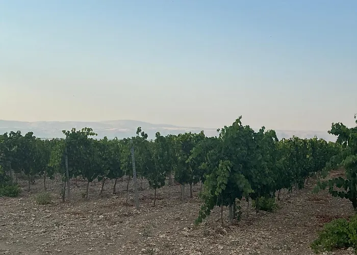 Bosco Elda Alloggio per agriturismo *