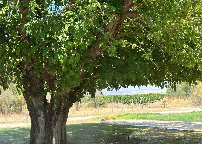 Bosco Elda Фермерский дом Сан-Джованни-Ротондо
